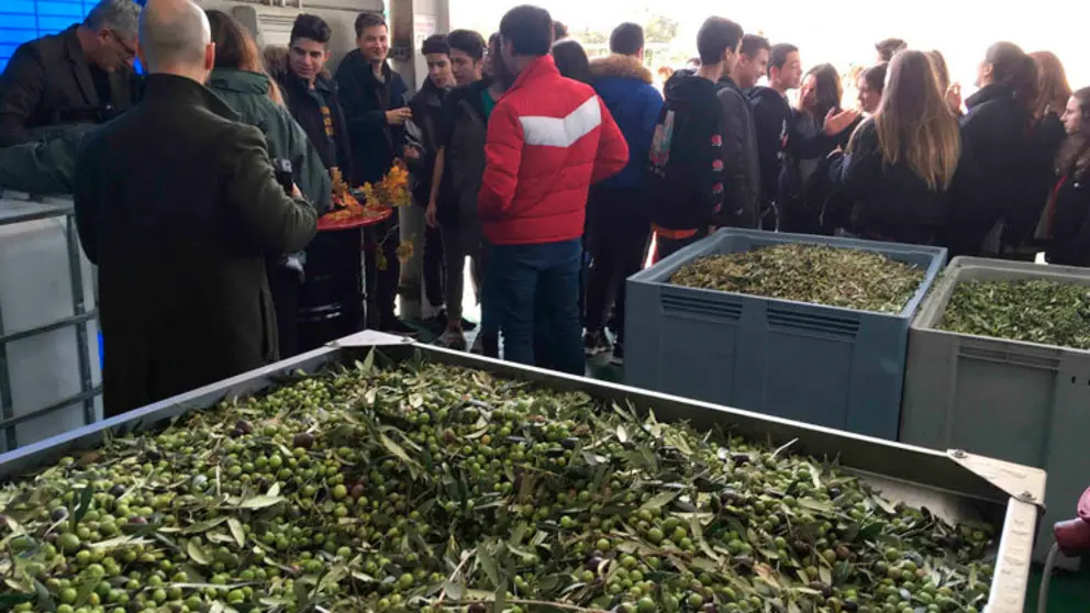 Estudiantes del IES Otero Pedrayo de Ourense han visitado la f&aacute;brica de Aceites Abril para conocer el funcionamiento de la almazara.