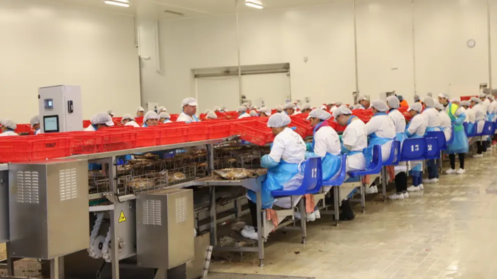 En la imagen, la nueva factor&iacute;a de Atunlo y Marfr&iacute;o en Vila Nova de Cerveira./ANFACO.