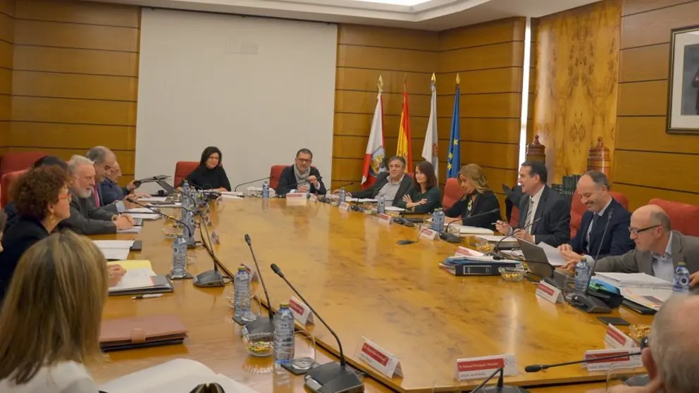 Pleno del Consorcio de la Zona Franca de Vigo.