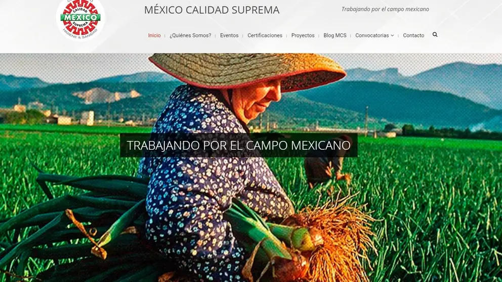 Web de M&eacute;xico Calidad Suprema.