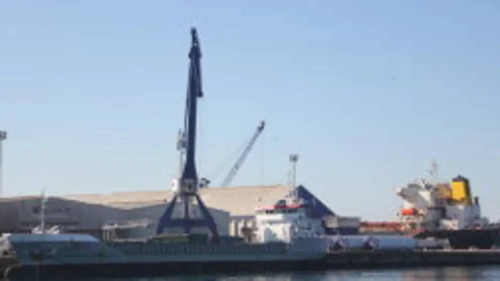 Buques operando en el Puerto de Mar&iacute;n.