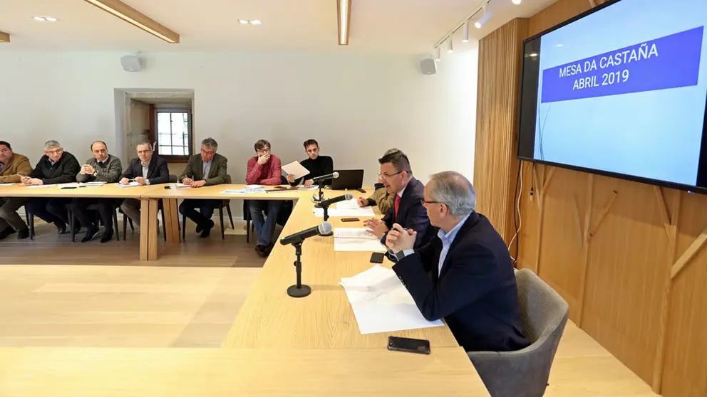 El conselleiro de Medio Rural presidi&oacute; la constituci&oacute;n de la Mesa de la Casta&ntilde;a. L.POLO.