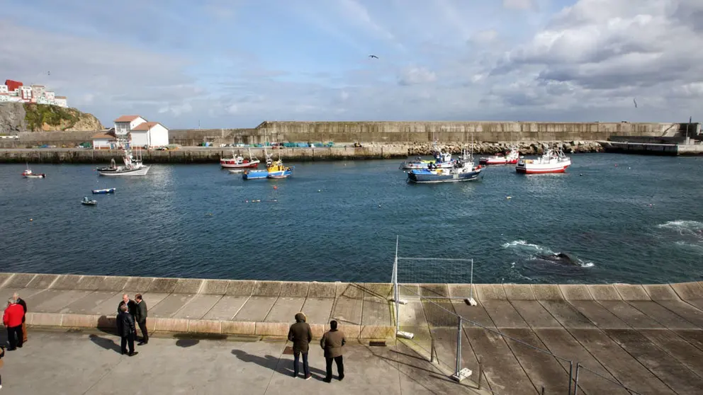 Las concesiones para habilitar recintos para contenedores refrigerados se situar&aacute;n en los puertos de Ribeira y A Pobra./C .PAZ.