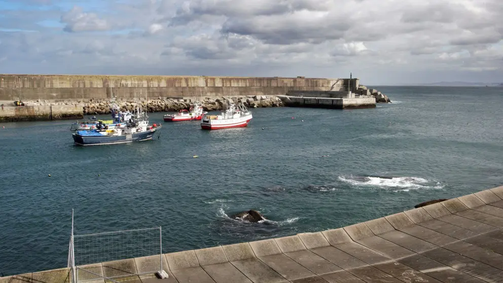 La Conseller&iacute;a del Mar destina a esta l&iacute;nea de aportaciones algo m&aacute;s de 1,5 millones de euros, cofinanciados con el Fondo Europeo Mar&iacute;timo y de Pesca.