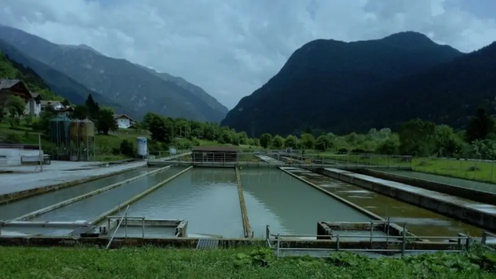 Anfaco-Cecopesca forma parte del proyecto GAIN,&nbsp;&ldquo;Green Aquaculture Intensification in Europe&rdquo;.