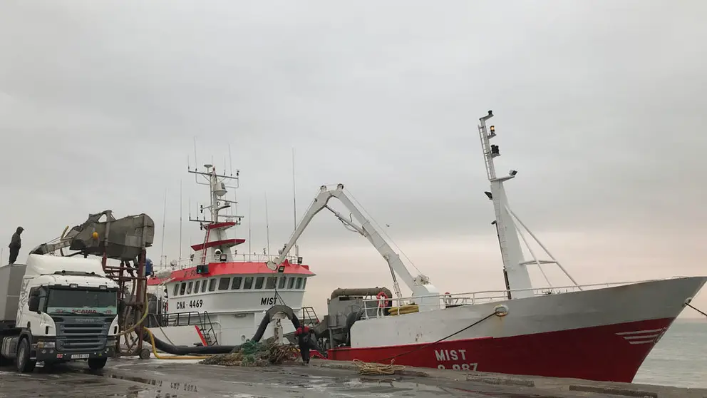 Descarga pesquera en el  puerto de Dakhla, situado al sur de Marruecos.
