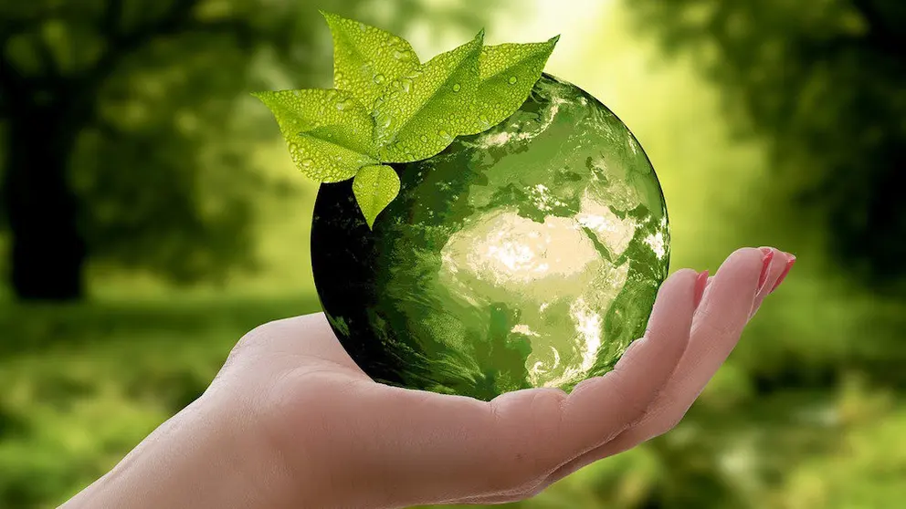 Obt&eacute;n ingresos extra actualizando la manera de reciclar en tu empresa