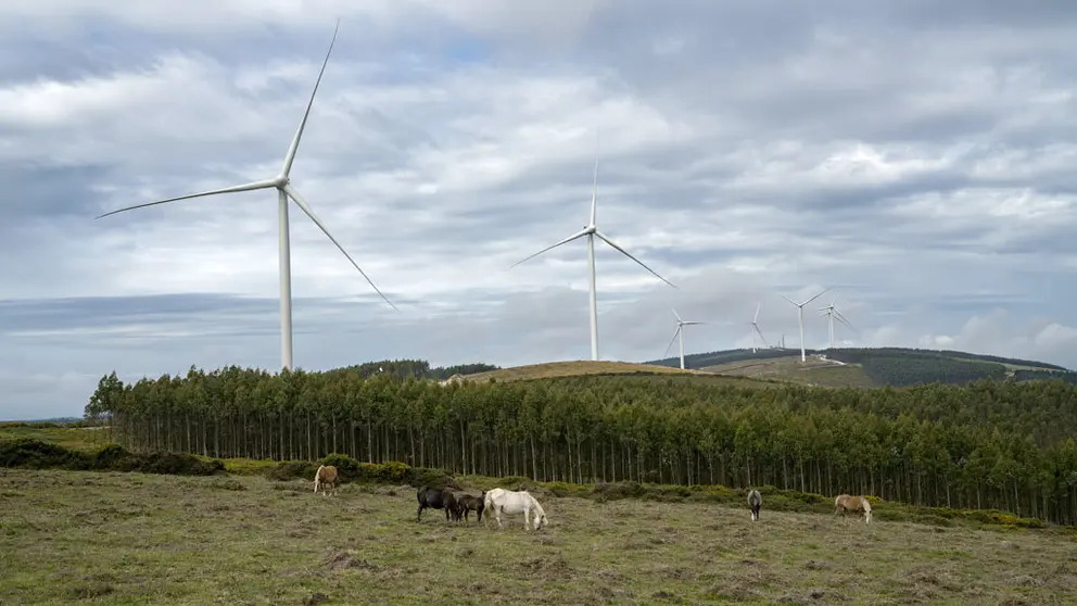 Uno de los parques e&oacute;licos de Norvento en la provincia de Lugo.