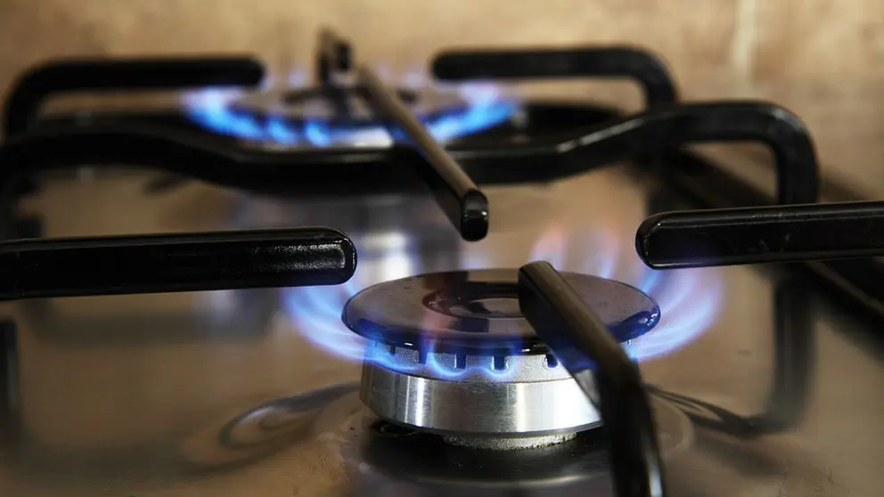 El gas renovable es una energ&iacute;a verde de la que el biometano es su mayor exponente./PublicDomainPictures en Pixabay