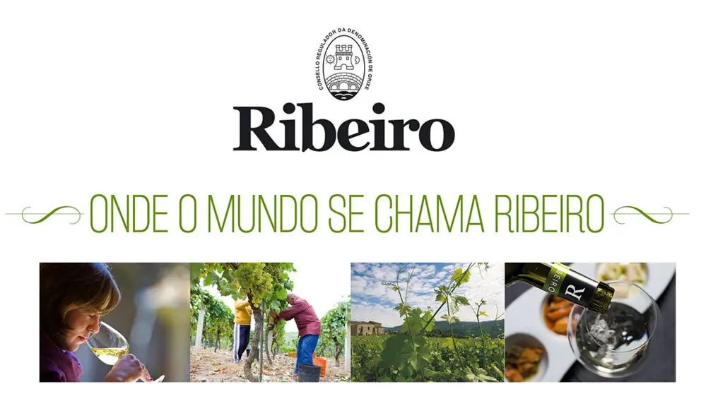 La D.O. Ribeiro organiza este s&aacute;bado 7 la &ldquo;Oportunidades en los mercados nacionales e internacionales para los vinos de la D.O.".