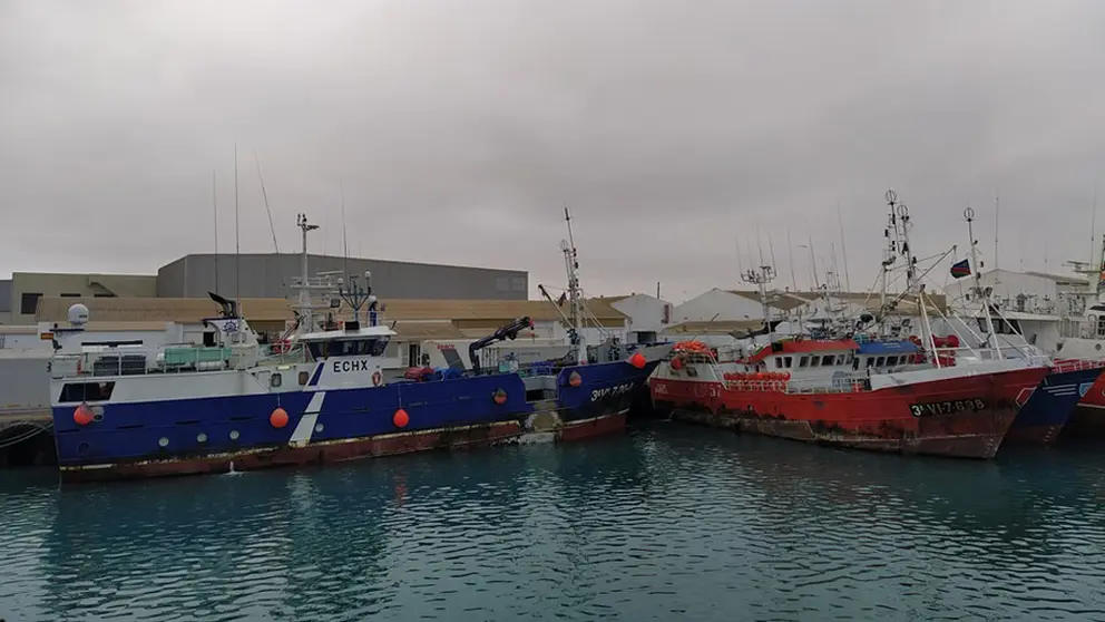 Palangrero amarrado a puerto en A Guarda.