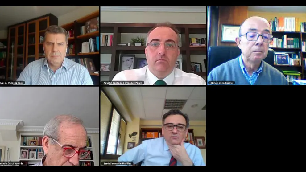 Miguel V&aacute;zquez Ta&iacute;n, Agust&iacute;n Fern&aacute;ndez, Miguel de la Fuente, Fernando Garc&iacute;a y Jes&uacute;s Sanmart&iacute;n, en la convocatoria online de los economistas.