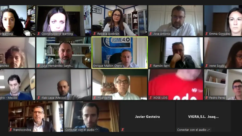 Asistentes a la reuni&oacute;n virtual del Galician Offshore Energy Group.