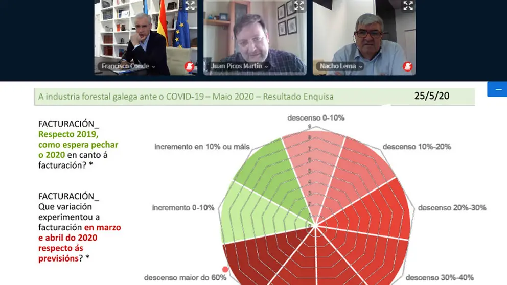 Un momento del seminario virtual "Retos de la industria forestal post-covid-19".
