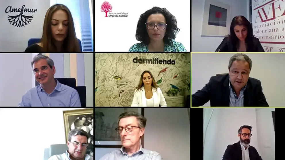 Ponentes del encuentro online organizado por las Asociaciones Territoriales de Empresa Familiar./WEB AGEF.