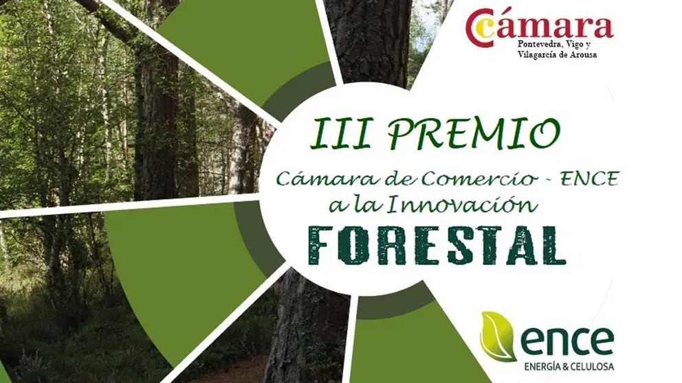 La C&aacute;mara de Pontevedra, Vigo y Vilagarc&iacute;a y Ence convocan el III Premio a la Innovaci&oacute;n Forestal.