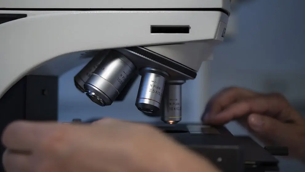Cuatro nuevas empresas biotecnol&oacute;gicas vieron la luz en 2019 en Galicia.
