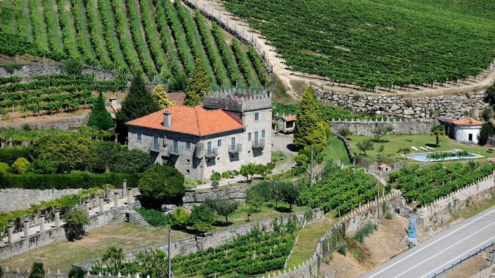 Vi&ntilde;edos de la Bodega Marqu&eacute;s de Vizhoja.