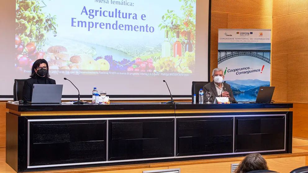 La jornada del proyecto CTC Limia-Lima-C&aacute;vado se desarroll&oacute; por videoconferencia desde el Centro Cultural Marcos Valc&aacute;rcel de la Diputaci&oacute;n de Ourense./A.PAZ.