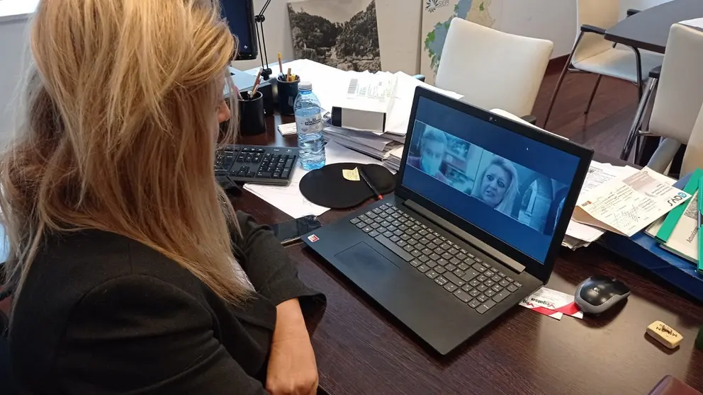 La gerente de SEA mantuvo la reuni&oacute;n con el alcalde de A Ca&ntilde;iza por videoconferencia.