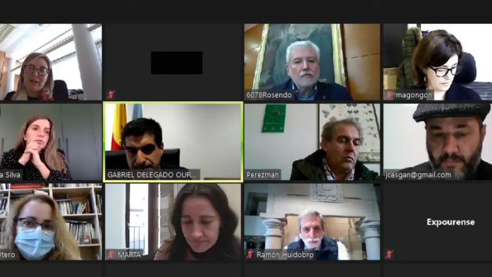 Reuni&oacute;n online del comit&eacute; asesor de Ourense Vinis Terrae.