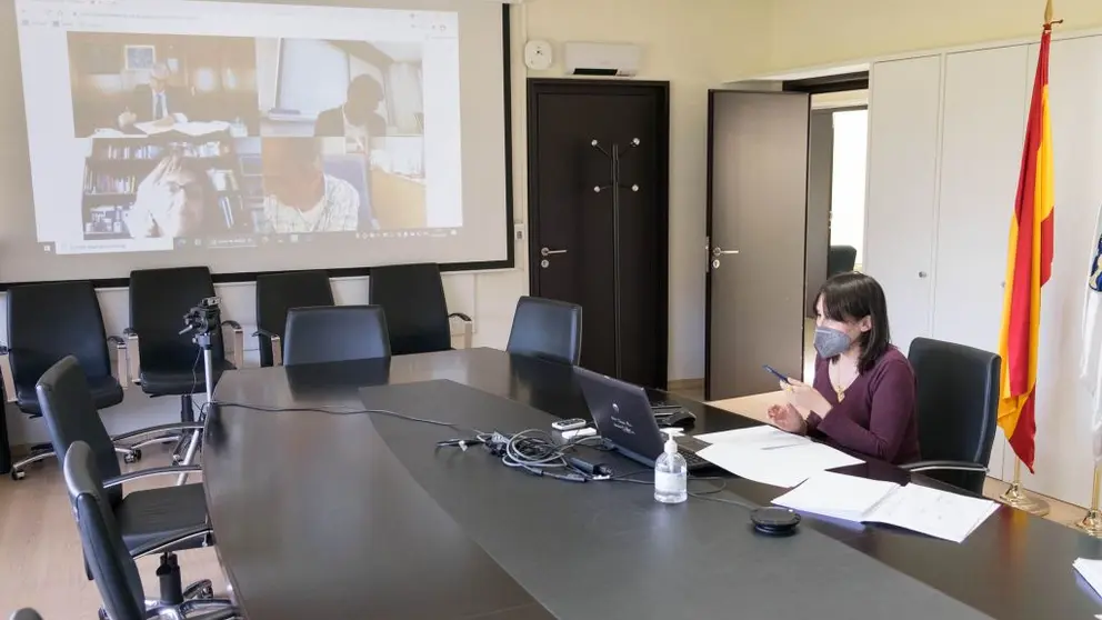 La conselleira Mar&iacute;a Jes&uacute;s Lorenzana, en la reuni&oacute;n por videoconferencia con los representantes del Di&aacute;logo Social./X.CRESPO.