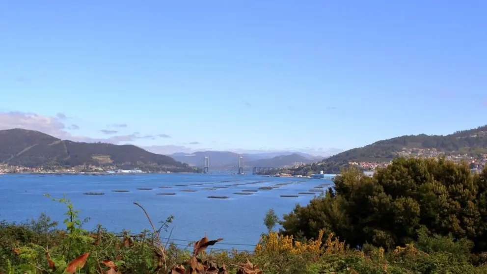 Las organizaciones empresariales reclaman que se tenga en cuenta las singularidades de la costa gallega. En la imagen, r&iacute;a de Vigo./rosenmascara en Pixabay.