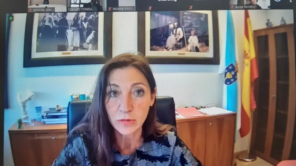 A directora Xeral de Relaci&oacute;ns Laborais, Elena Mancha, no webinar da Asociaci&oacute;n &Aacute;rea Empresarial do Tambre.
