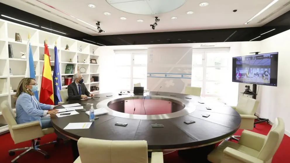 El vicepresidente econ&oacute;mico de la Xunta y la directora de Planificaci&oacute;n Enerx&eacute;tica e Recursos Naturais, durante la mesa para la transici&oacute;n justa de As Pontes, celebrada por videoconferencia.
