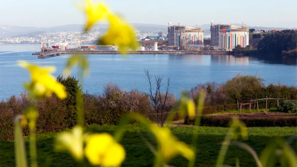 Terminal de Reganosa en Ferrol./WEB REGANOSA.