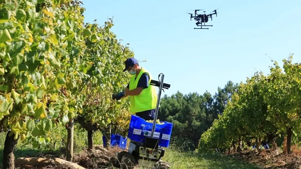 FlexiGrobots prev&eacute; el uso de drones de apoyo en la vendimia.