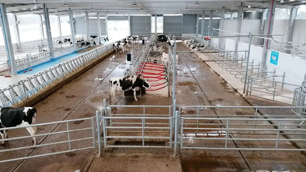 El proyecto HIBA, financiado a trav&eacute;s del programa Poctep, crear&aacute; un ecosistema plurirregional hispano-luso que impulsar&aacute; la digitalizaci&oacute;n   del sector agroalimentario.