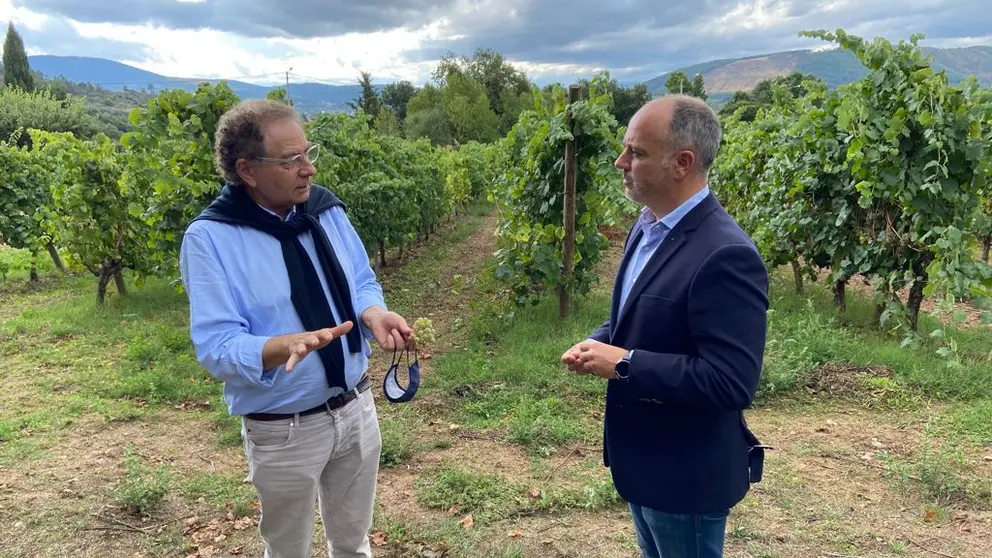 Roberto Verino y David Regades en los vi&ntilde;edos de Bodega Gargalo, en Monterrei.