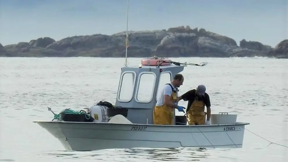 Pesca de bajura en Galicia.