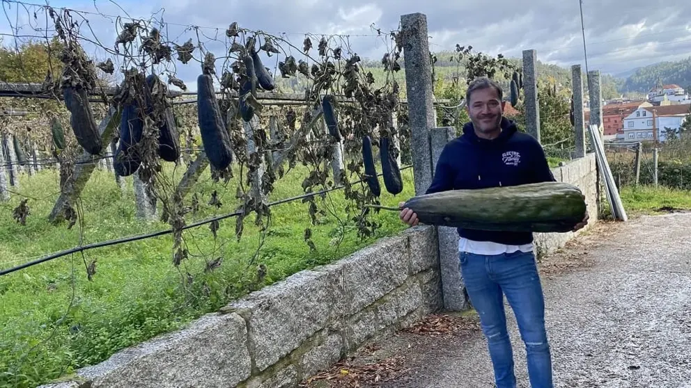 Juan Carlos Mascatto, director t&eacute;cnico de Ib&eacute;rica de Esponjas Vegetales, con un ejemplar de luffa.