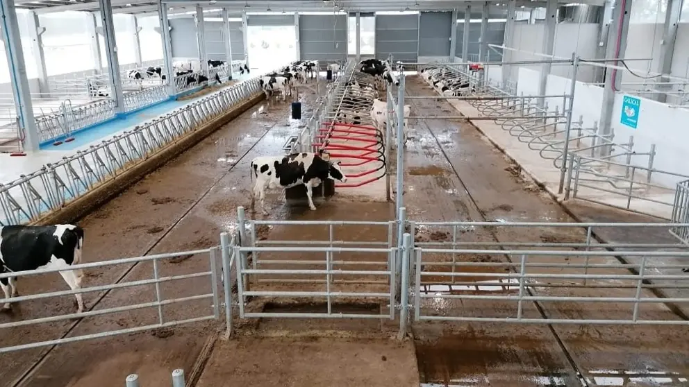 Uno de los talleres se centrar&aacute; en la innovaci&oacute;n de las empresas agroalimentarias de la cadena de valor l&aacute;ctea.