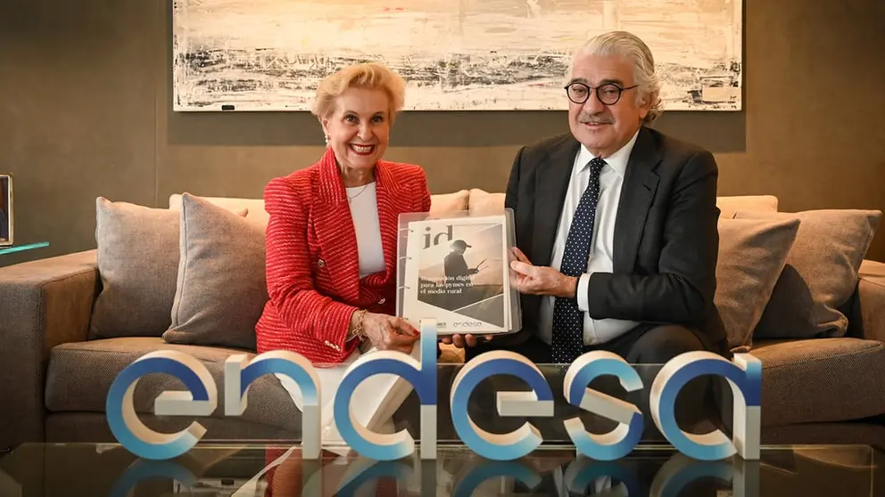 endesa afammer