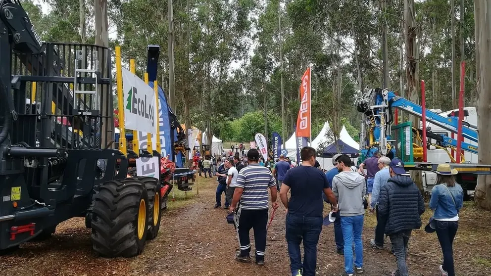 Edici&oacute;n 2018 de Galiforest Abanca.