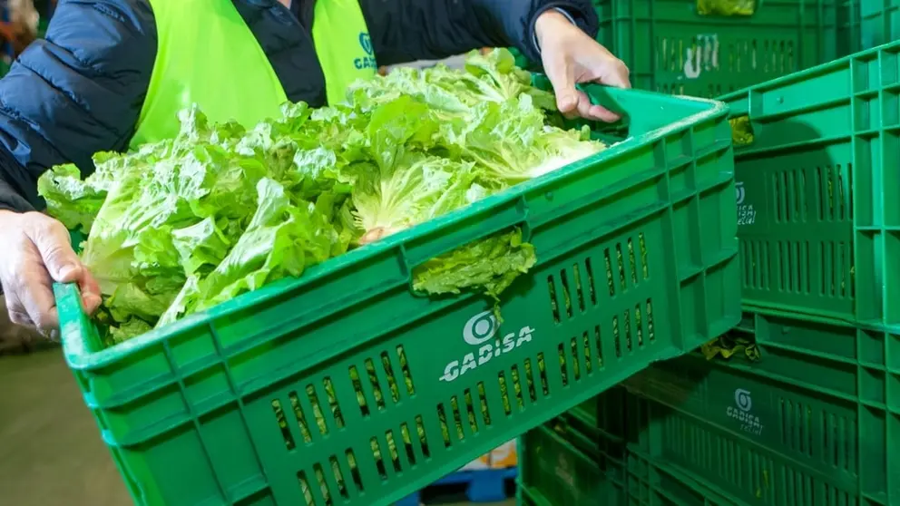 Gadisa retail realiz&oacute; compras a proveedores locales por valor de 331 millones de euros.