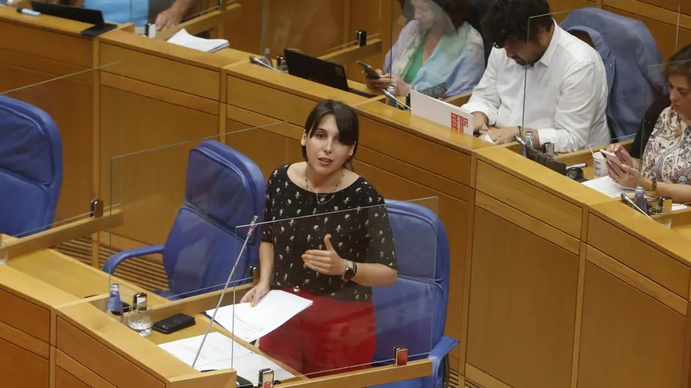 A conselleira Mar&iacute;a Jes&uacute;s Lorenzana, no Parlamento galego.