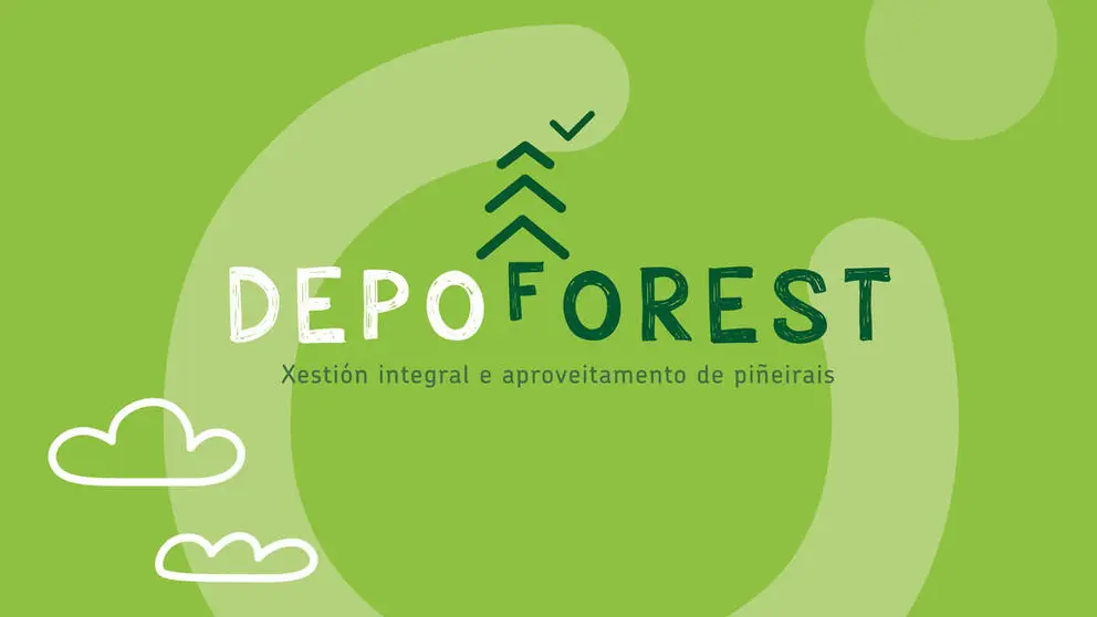 Depoforest &eacute; un curso formativo centrado na xesti&oacute;n integral e aproveitamento de pi&ntilde;eirais.