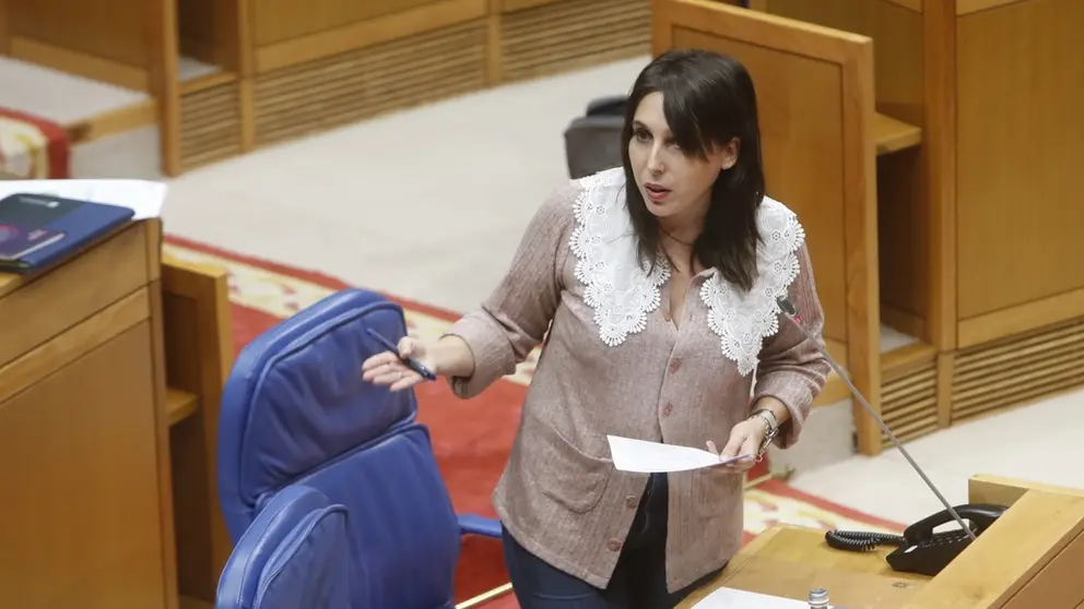 Comparecencia de Mar&iacute;a Jes&uacute;s Lorenzana no Parlamento galego.