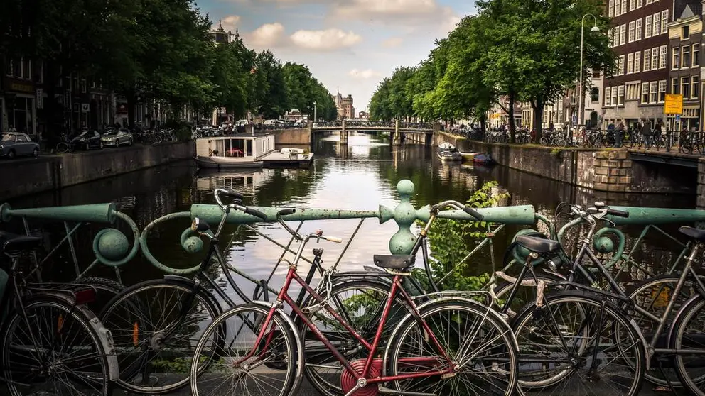 Foto de <a href="https://unsplash.com/@jacegrandinetti?utm_source=unsplash&utm_medium=referral&utm_content=creditCopyText">Jace & Afsoon</a> en <a href="https://unsplash.com/es?utm_source=unsplash&utm_medium=referral&utm_content=creditCopyText">Unsplash</a>