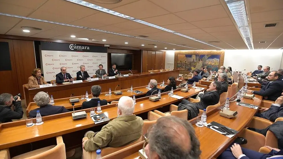 Alfonso Rueda particip&oacute; en una reuni&oacute;n del pleno de la C&aacute;mara de A Coru&ntilde;a.