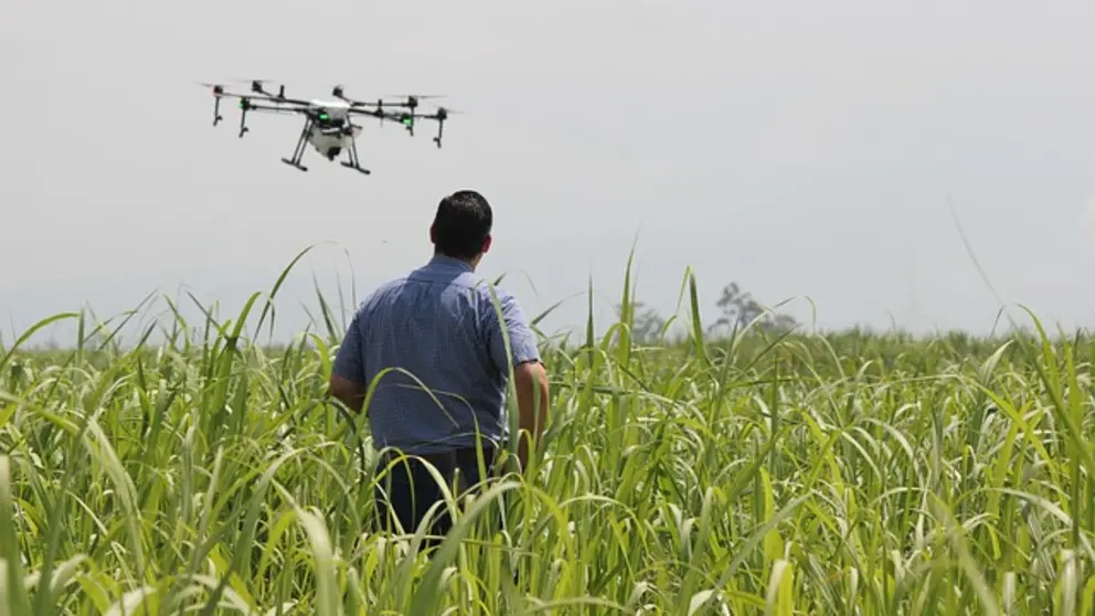 La iniciativa E-Learning Data quiere tambi&eacute;n poner a disposici&oacute;n de las empresas gallegas la experimentaci&oacute;n y desarrollo de aplicaciones que, basadas en datos procedentes de distintas plataformas de observaci&oacute;n (sat&eacute;lites o drones), mejoren las capacidades de innovaci&oacute;n del sector agro.