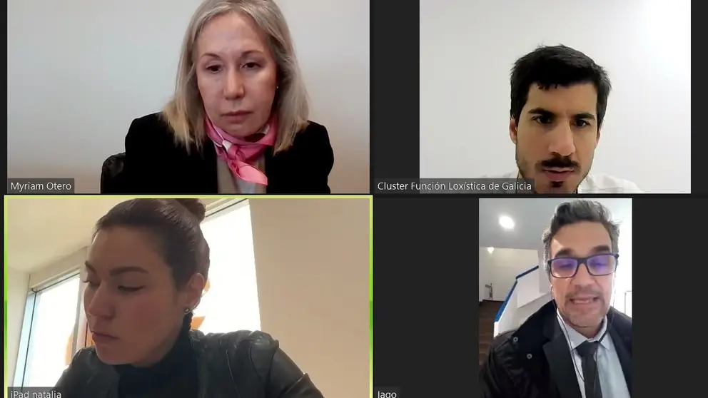 Reuni&oacute;n telem&aacute;tica entre el Cl&uacute;ster da Funci&oacute;n Lox&iacute;stica de Galicia y Apetamcor.