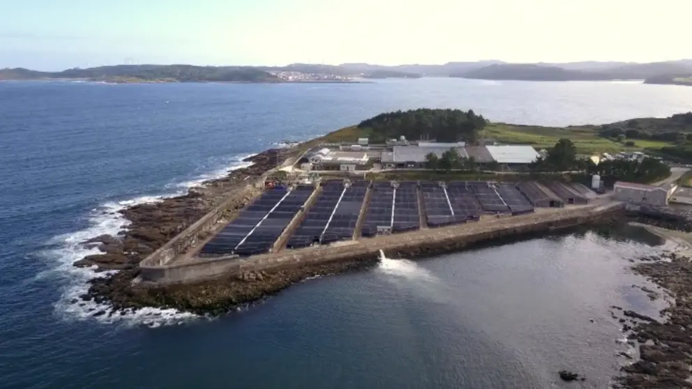 Granja acu&iacute;cola de Stolt Sea Farm.