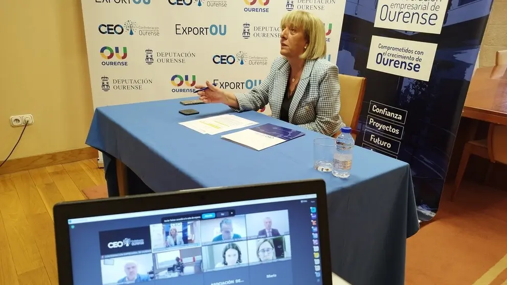 Marisol Novoa, presidenta de la CEO, en un momento de la jornada online con Sogarpo.