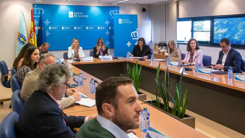 Reuni&oacute;n do Comit&eacute; Executivo de Proxectos Tractores e Infraestruturas