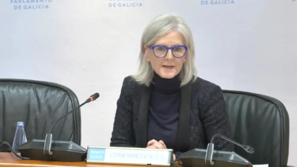 La directora del Igape, Covadonga Toca, present&oacute; los presupuestos del Instituto en el Parlamento.